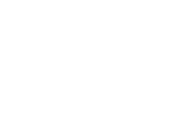 Irys Logo